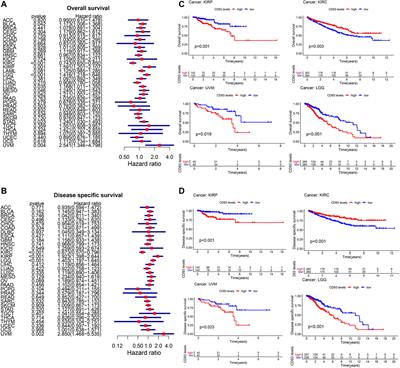 Pan-Cancer Analysis Identified CD93 as a Valuable Biomarker for Predicting Patient Prognosis and Immunotherapy Response